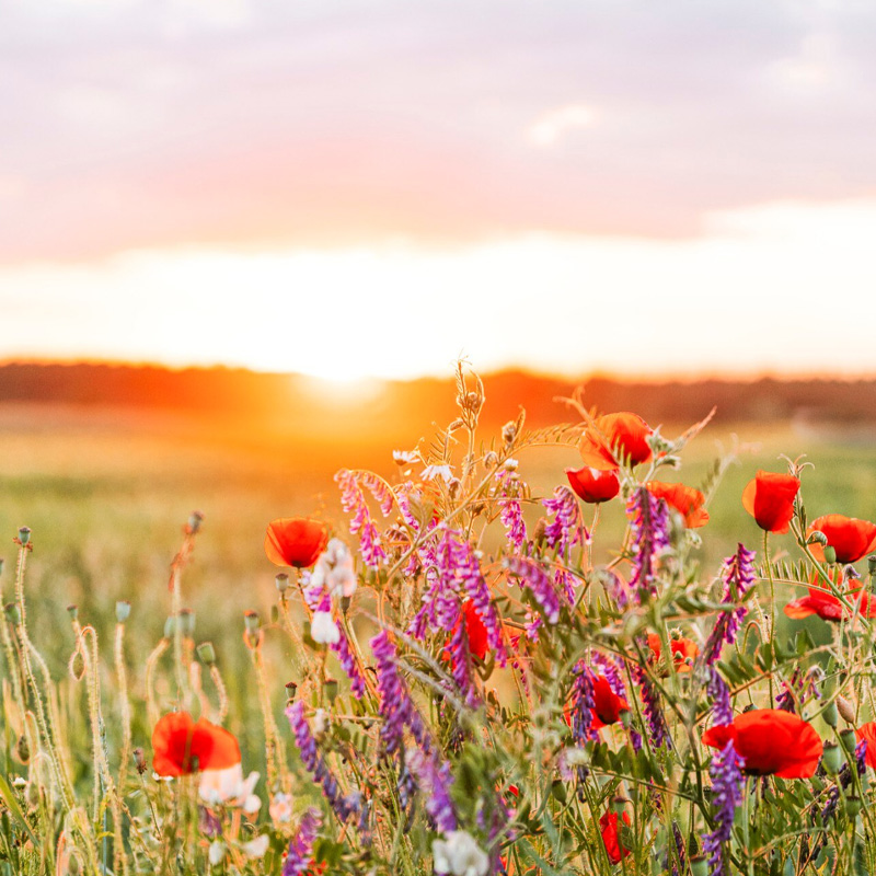Letní akademie SGUN 2025 již podruhé v Budějovicích